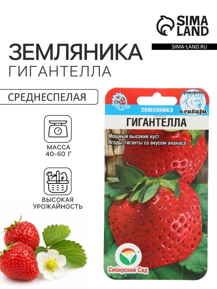 Семена Земляника «Гигантелла», 10 шт., «Сибирский сад»