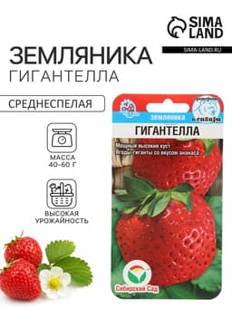 Семена Земляника «Гигантелла», 10 шт., «Сибирский сад»