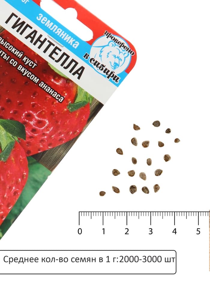 Семена Земляника «Гигантелла», 10 шт., «Сибирский сад»