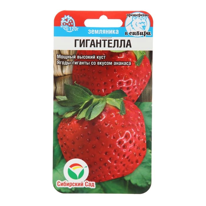 Семена Земляника «Гигантелла», 10 шт., «Сибирский сад»