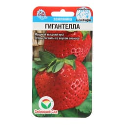 Семена Земляника «Гигантелла», 10 шт., «Сибирский сад»