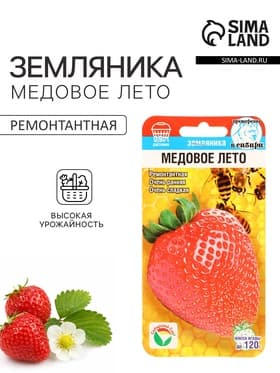 Семена Земляника ремонтантная «Медовое лето», 5 шт., ранняя, «Сибирский сад»