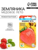 Семена Земляника ремонтантная «Медовое лето», 5 шт., ранняя, «Сибирский сад»