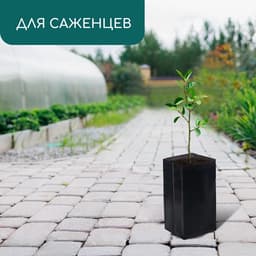 Пакет для рассады, 2 л, 10×25 см, полиэтилен, толщина 60 мкм, с перфорацией, чёрный, Greengo