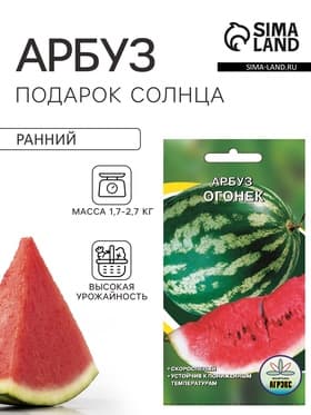 Семена Арбуз «Огонек», 10 шт., скороспелый, «Агрэкс»