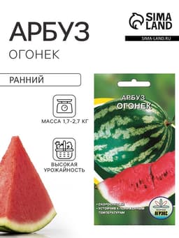 Семена Арбуз «Огонек», 10 шт., скороспелый, «Агрэкс»