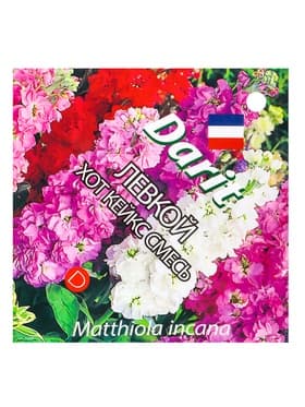 Семена цветов Левкой маттиола «Хот Кейкс» смесь, 15 шт.