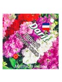 Семена цветов Левкой маттиола "Хот Кейкс" смесь, О, 15 шт