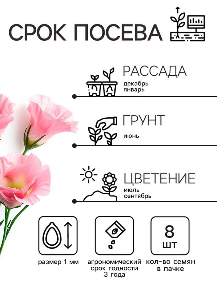 Семена цветов Эустома «Супер Мэджик», F1, смесь, 8 шт., DARIT, «Агроуспех»