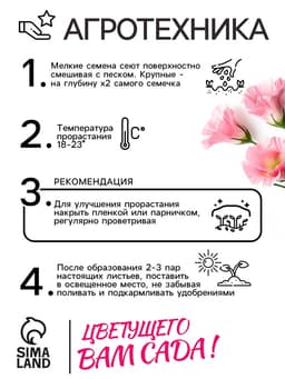 Семена цветов Эустома «Супер Мэджик», F1, смесь, 8 шт., DARIT, «Агроуспех»