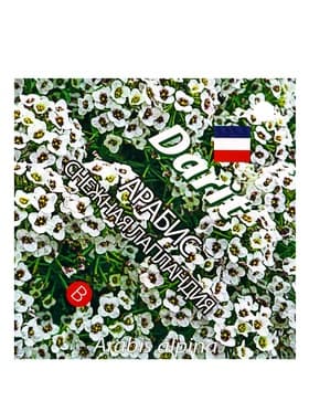 Семена цветов Арабис "Снежная Лапландия", 0,2 г