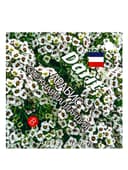 Семена цветов Арабис "Снежная Лапландия", 0,2 г