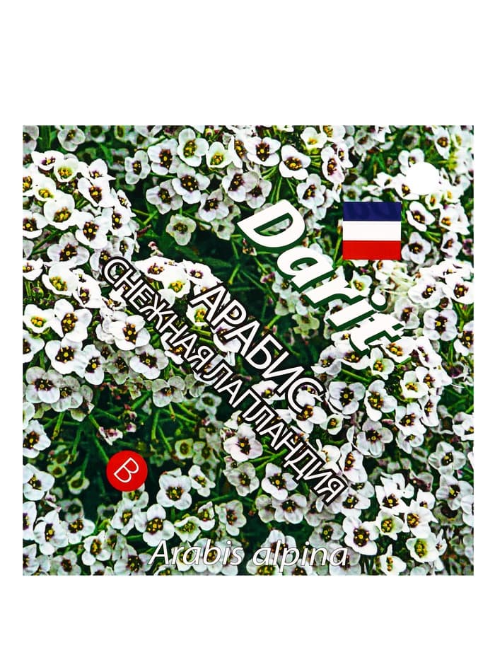 Семена цветов Арабис "Снежная Лапландия", 0,2 г
