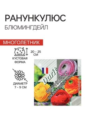Семена цветов Ранункулюс «Блюмингдейл» F1, микс, 5 шт.
