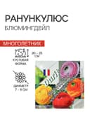 Семена цветов Ранункулюс "Блюмингдейл", 5 шт.