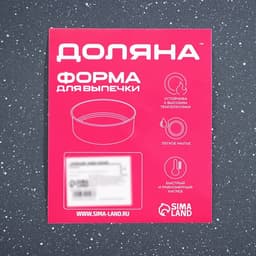 Противень Доляна «Прямоугольник. Элин», 40.5×27×4.5 см, антипригарное покрытие, серый