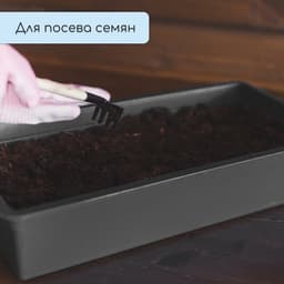 Ящик для рассады, 40×20×10 см, 4 л, пластик, МИКС
