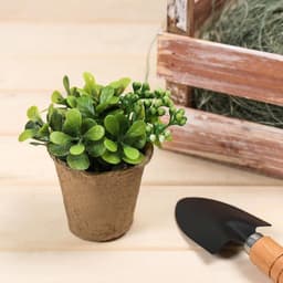 Горшок для рассады, 100 мл, d=6 см, h=6.5 см, торф, Greengo