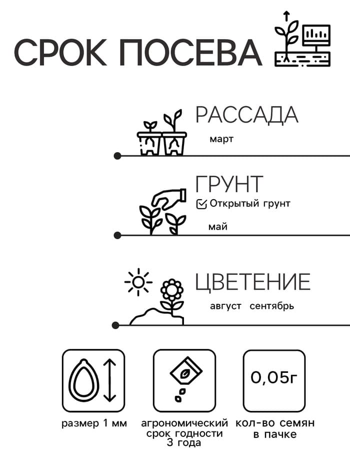 Семена цветов Капуста декоративная "Русский круг", ц/п, О, 0,05 г