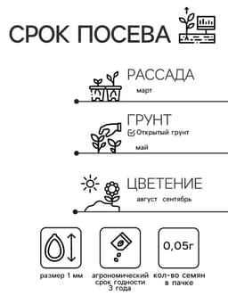 Семена цветов Капуста декоративная "Русский круг", ц/п, О, 0,05 г