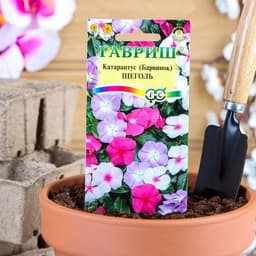 Семена комнатных цветов Барвинок «Щеголь», 0.05 г, «Гавриш»