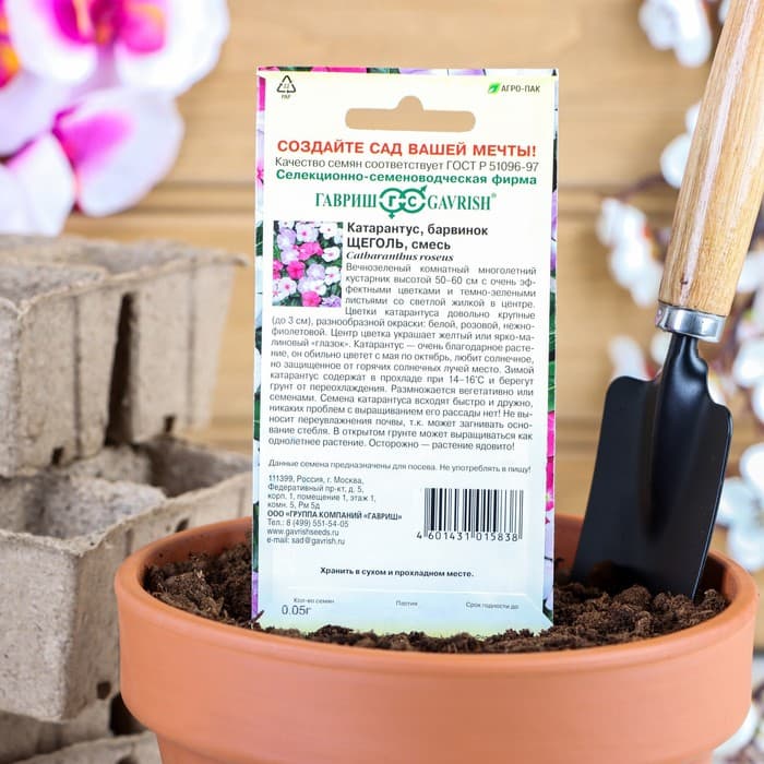 Семена комнатных цветов Барвинок «Щеголь», 0.05 г, «Гавриш»