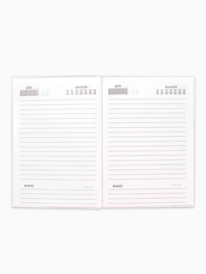 Ежедневник А5, 80 листов в твердой обложке «Хьюстон, я проблема»