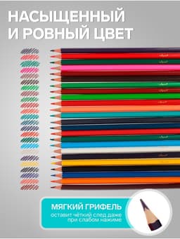 Карандаши Calligrata, цветные, акварельные, 24 цвета