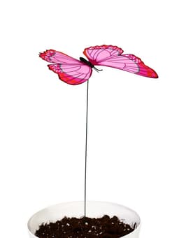 Штекер садовый «Бабочка альпина», 22×21 см, h=42 см, МИКС