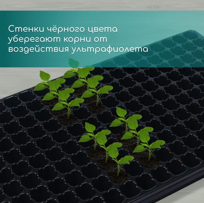Кассета для выращивания рассады, на 200 ячеек, по 7 мл, из пластика, чёрная, 55×28×4 см, Greengo