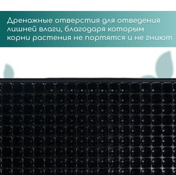 Кассета для выращивания рассады, на 200 ячеек, по 7 мл, из пластика, чёрная, 55×28×4 см, Greengo