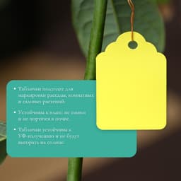 Бирки садовые, для маркировки растений, 4.5×3 см, набор 20 шт., пластик, МИКС, Greengo