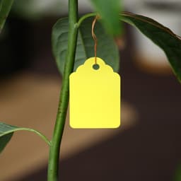 Бирки садовые, для маркировки растений, 4.5×3 см, набор 20 шт., пластик, МИКС, Greengo