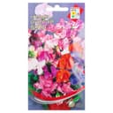 Семена цветов Горошек душистый "Бийо" Дом семян,  10 шт