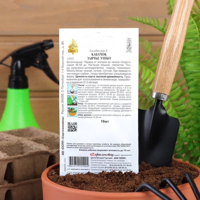 Семена Кабачок «Заячье ушко», 10 шт., «Дом семян»