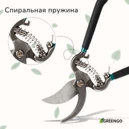 Секатор плоскостной, 8" (20 см), с металлическими ручками, Greengo