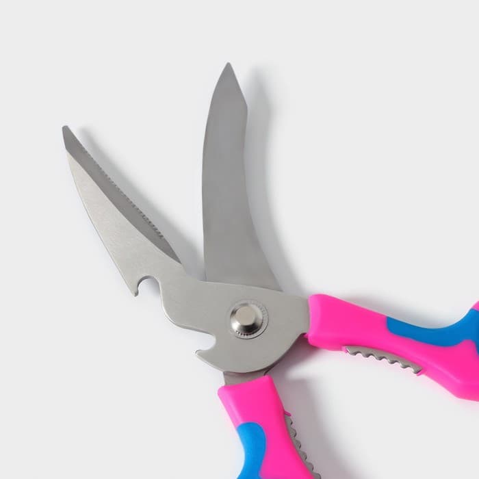 Ножницы кухонные для мяса и рыбы Доляна «Краски», 20 см, МИКС