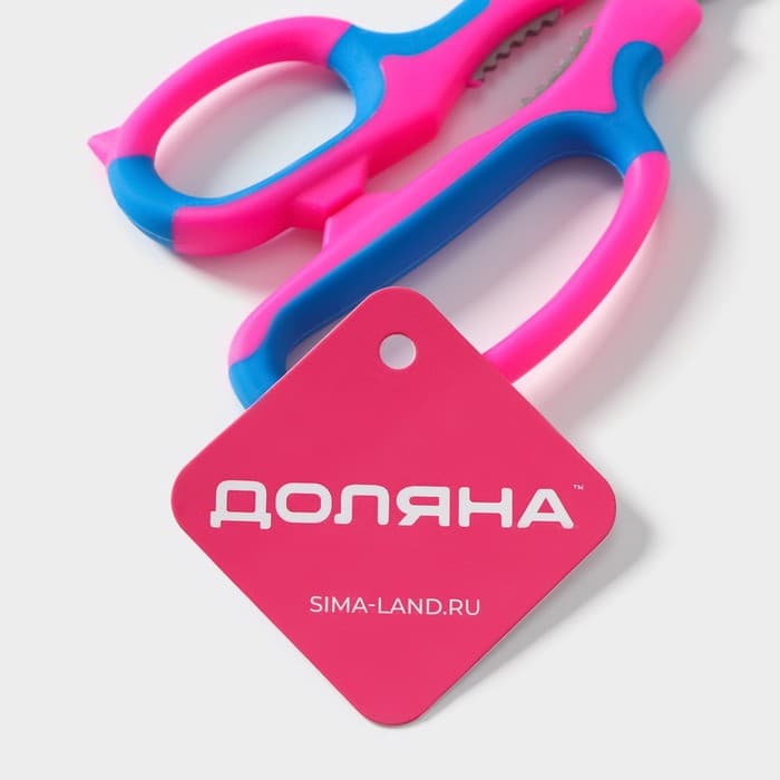 Ножницы кухонные для мяса и рыбы Доляна «Краски», 20 см, МИКС