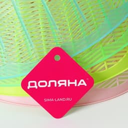 Сетка защитная для еды Доляна, 25.5×13.5 см, МИКС