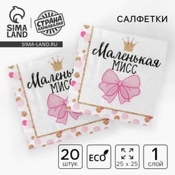 Салфетки бумажные «Маленькая мисс», 25×25 см, набор 20 шт.