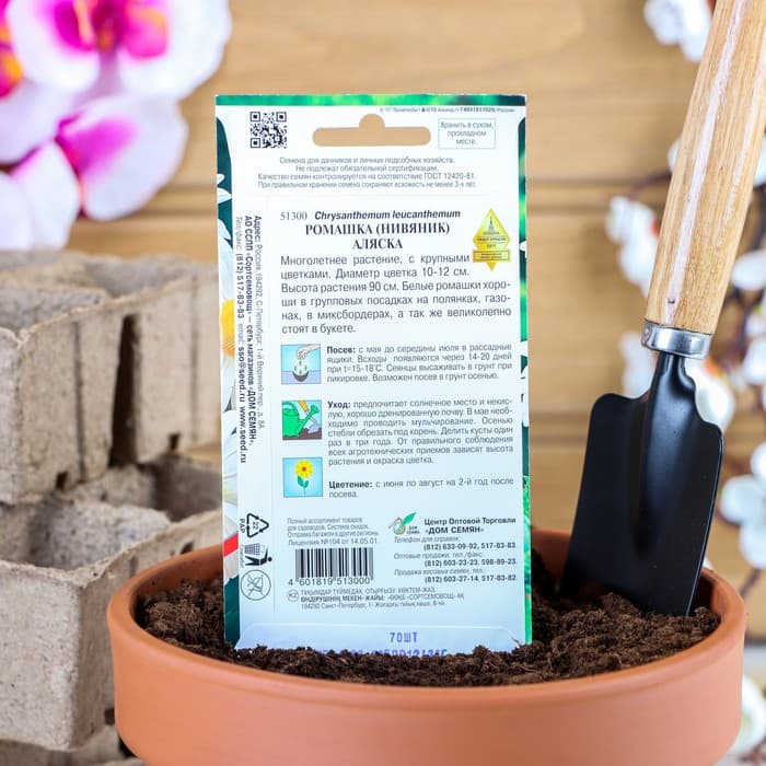Семена цветов Ромашка "Аляска", 70 шт.