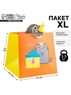 Пакет подарочный квадратный, упаковка, «Котик и тортик», 30×30×30 см