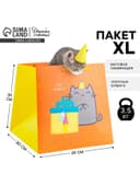 Пакет подарочный квадратный, упаковка, «Котик и тортик», 30×30×30 см