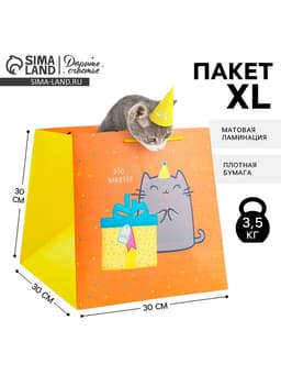 Пакет подарочный квадратный, упаковка, «Котик и тортик», 30×30×30 см