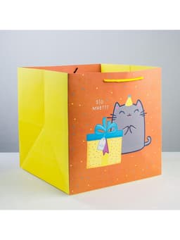 Пакет подарочный квадратный, упаковка, «Котик и тортик», 30×30×30 см
