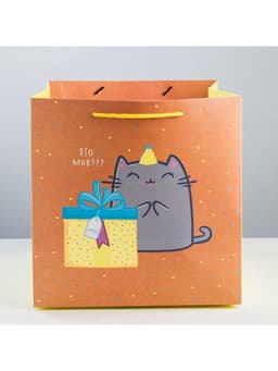 Пакет подарочный квадратный, упаковка, «Котик и тортик», 30×30×30 см