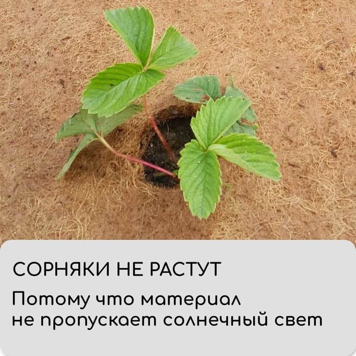 Круг приствольный, d=0.3 м, из кокосового полотна, набор 5 шт., «Мульчаграм»
