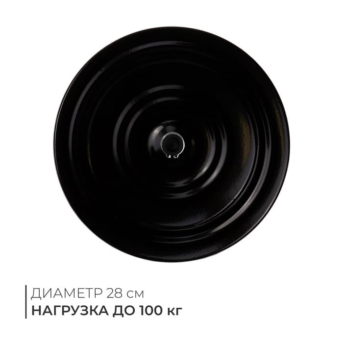 Диск здоровья, металлический, d=28 см, двухцветный