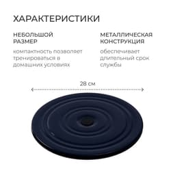 Диск здоровья, металлический, d=28 см, двухцветный