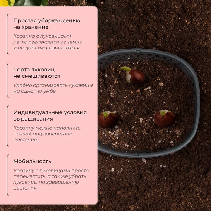 Корзина для посадки луковичных растений, овальная, 30.6×27 см, h=7.5 см, МИКС